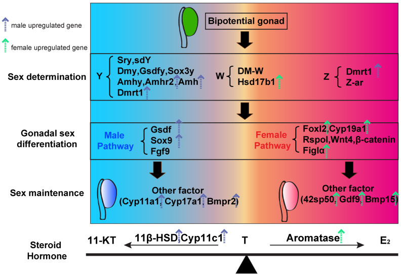 Figure 14