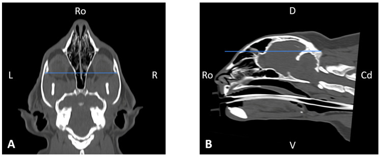 Figure 9