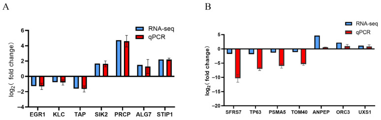 Figure 11