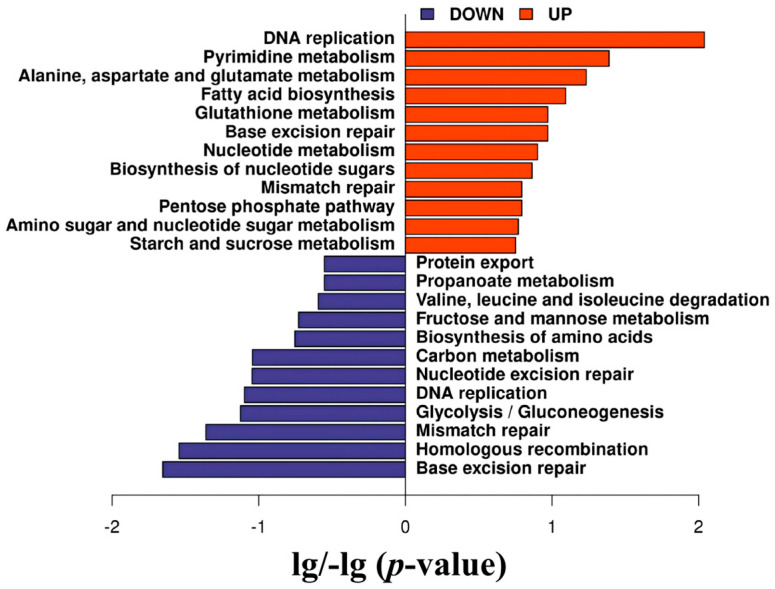 Figure 6