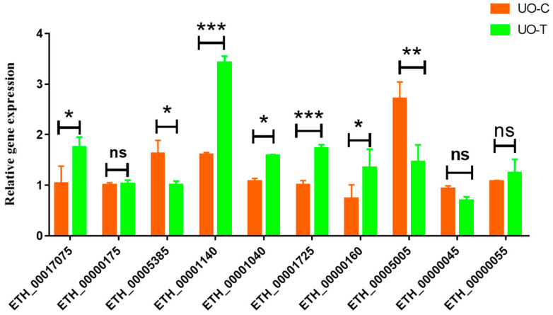 Figure 7