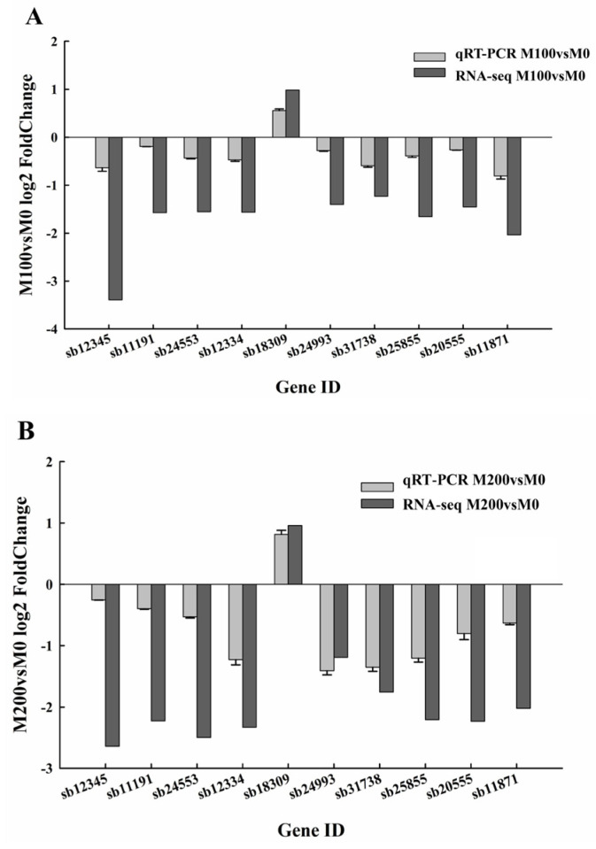 Figure 11