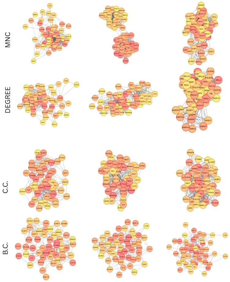 Figure 11