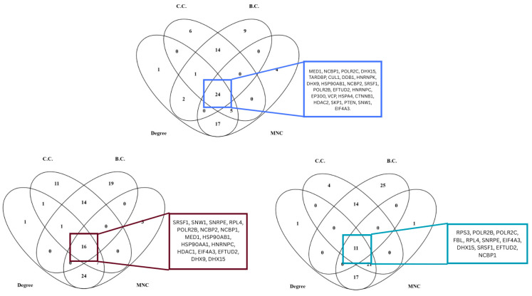 Figure 12
