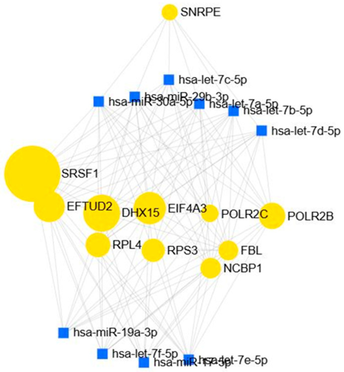 Figure 15