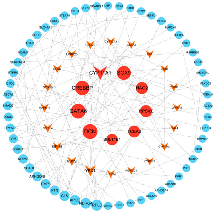 Figure 5