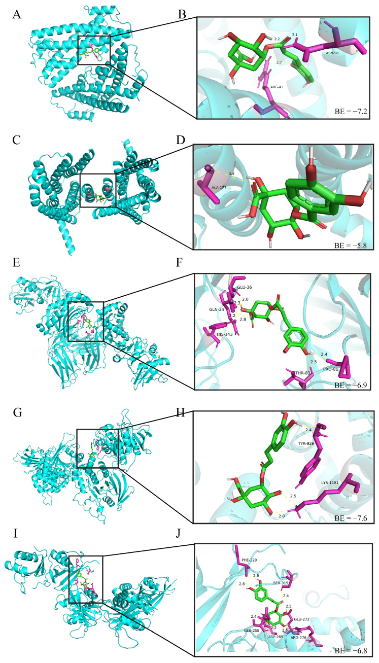 Figure 10