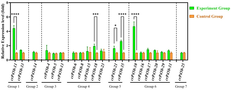 Figure 7