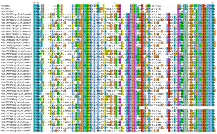 Figure 7