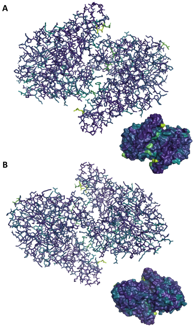 Figure 7