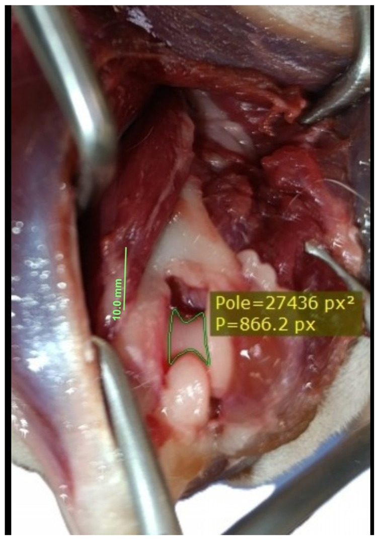 Figure 6