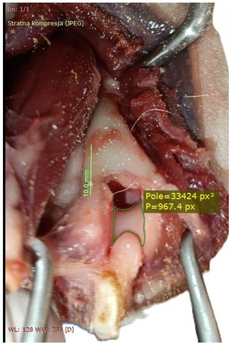 Figure 7