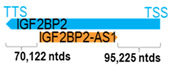 Figure 21