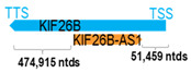 Figure 22