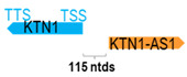 Figure 23