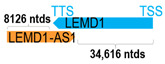 Figure 25