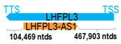 Figure 26