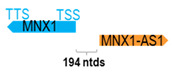 Figure 29