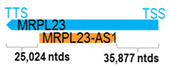 Figure 30