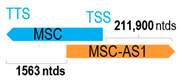 Figure 31