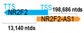 Figure 32