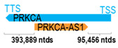 Figure 34