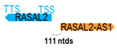 Figure 35