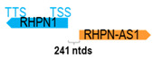 Figure 38