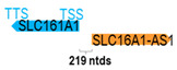 Figure 40