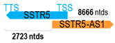 Figure 41