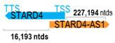 Figure 43
