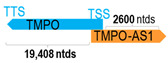 Figure 46