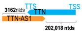 Figure 47