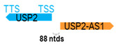 Figure 48