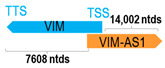 Figure 49