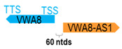 Figure 50