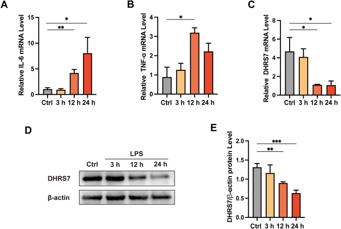 Figure 6