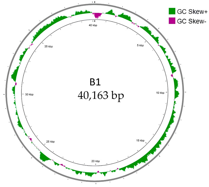 Figure 5