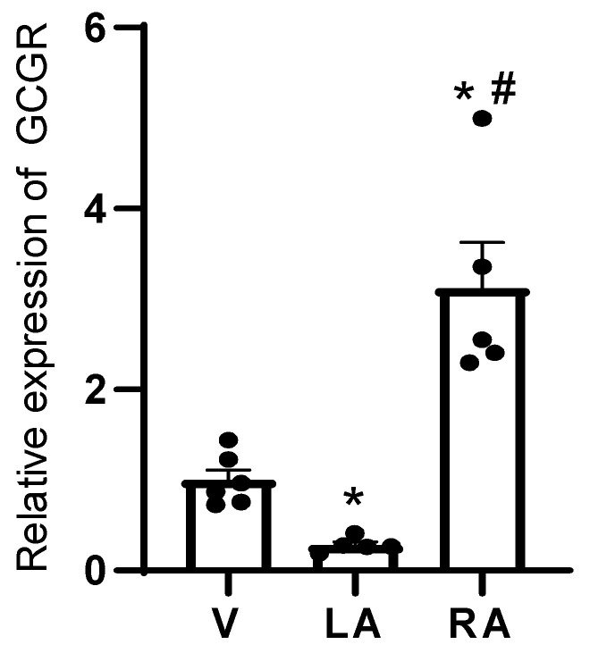 Figure 17