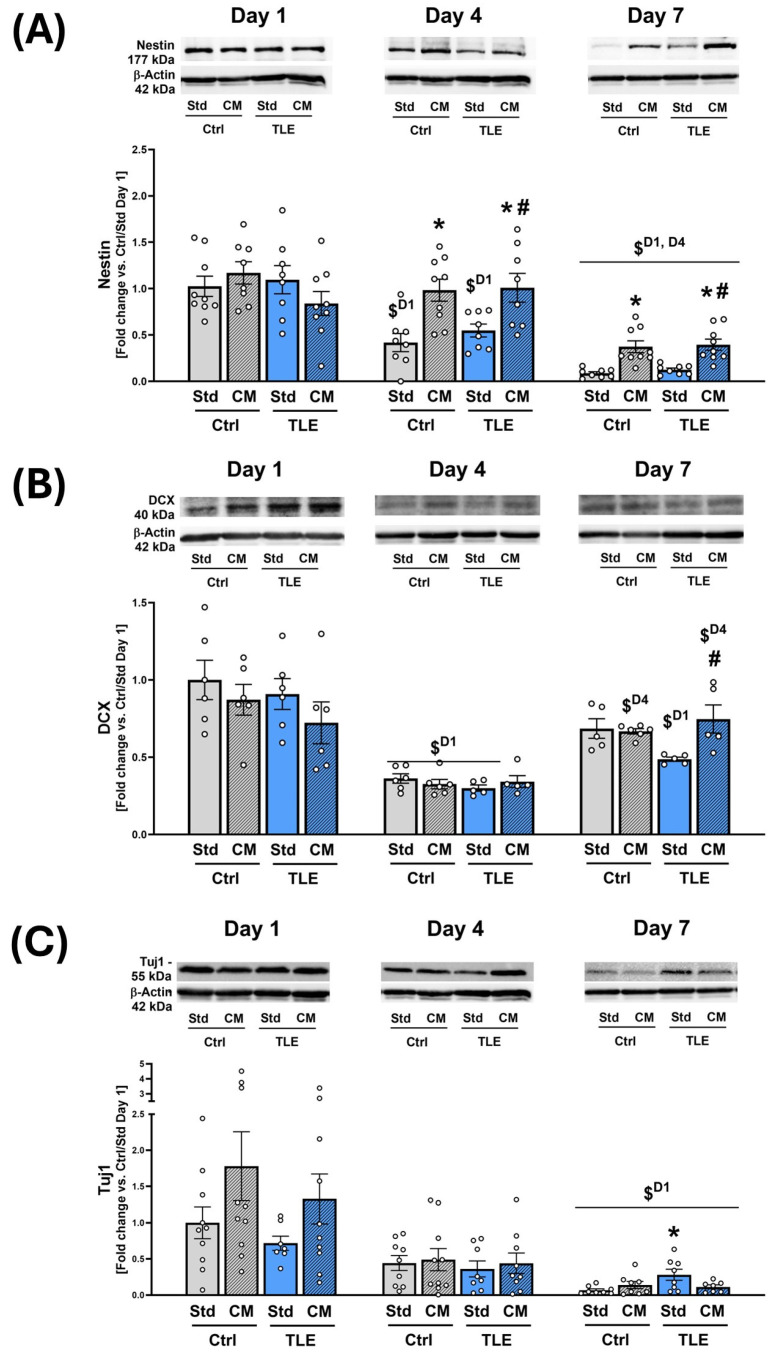 Figure 7