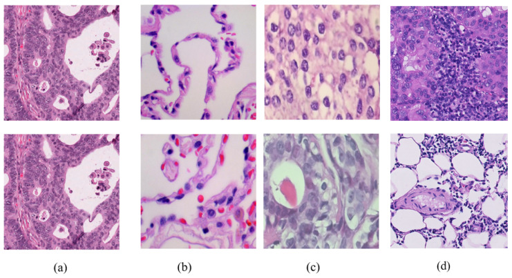 Figure 9