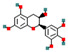 Figure 25