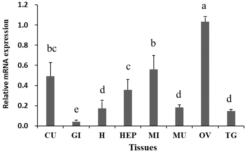 Figure 5