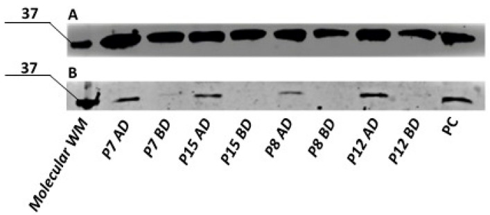 Figure 18