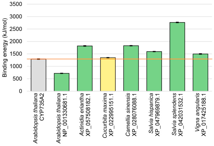 Figure 5