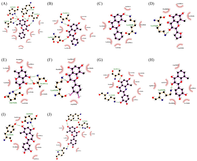 Figure 11