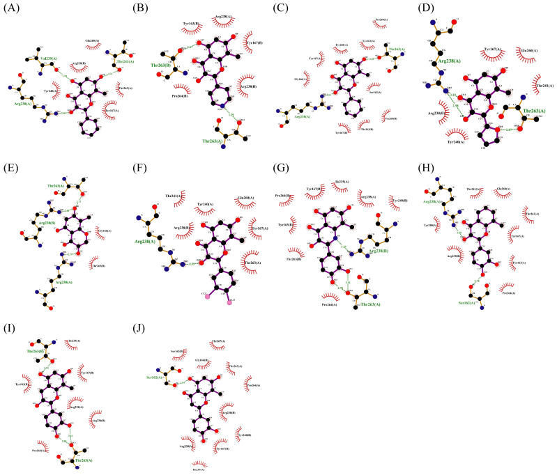 Figure 12