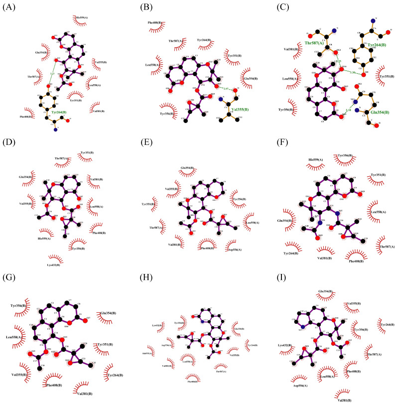 Figure 13
