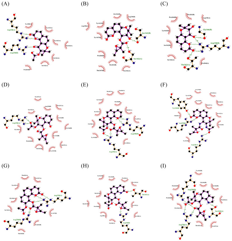 Figure 14