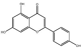 Figure 22